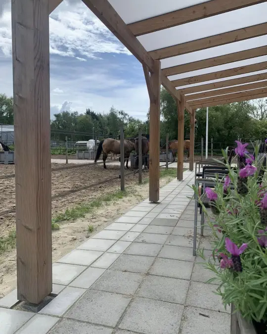 wat is paardencoaching