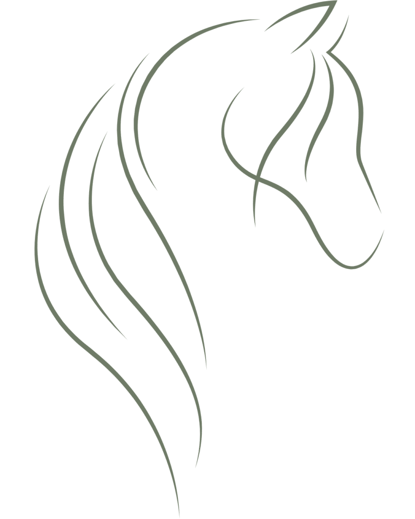 SR Paardencoaching