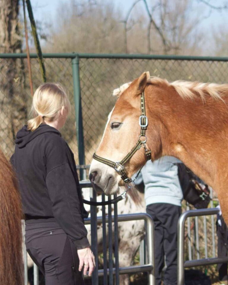 Ruitercoaching