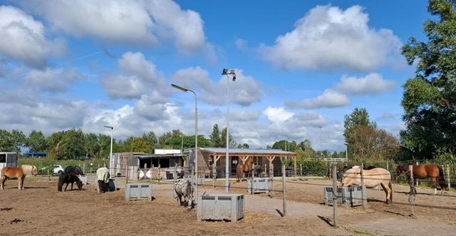 SR PAARDENCOACHING