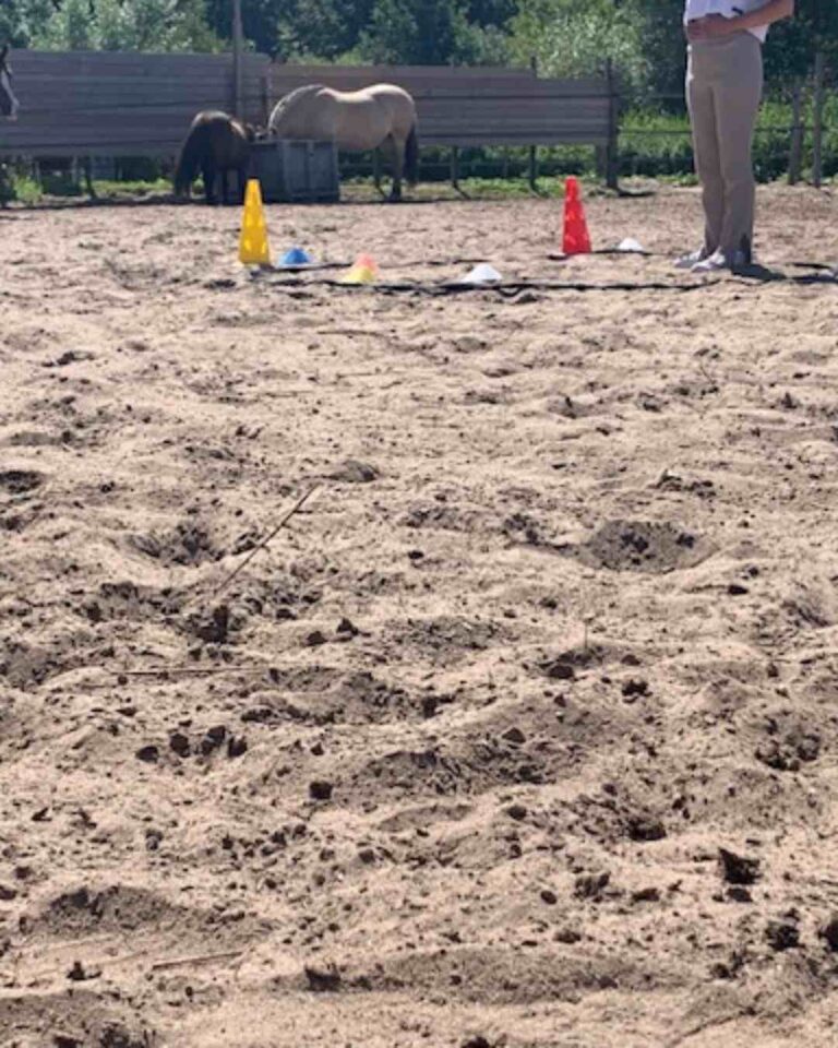 paardencoaching