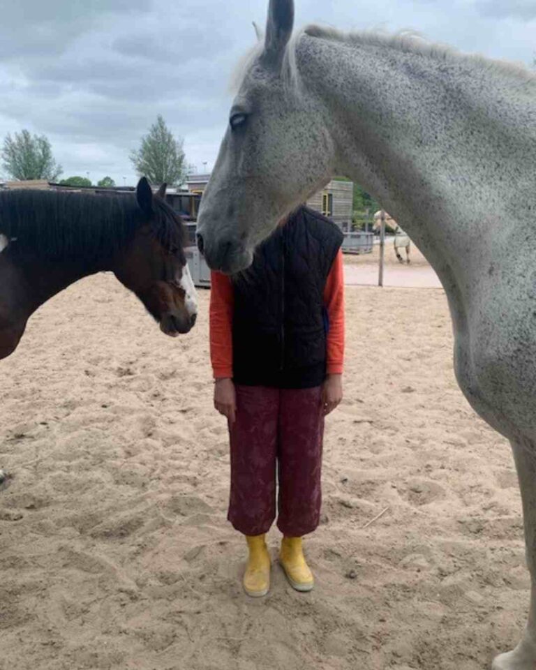 paardencoaching