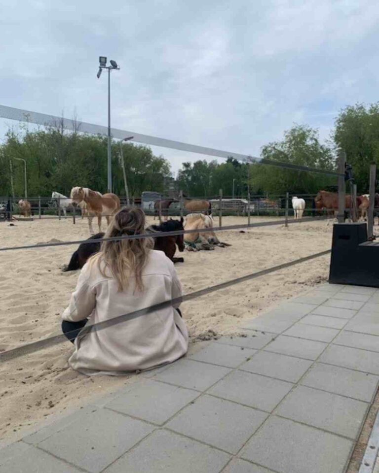 paardencoaching