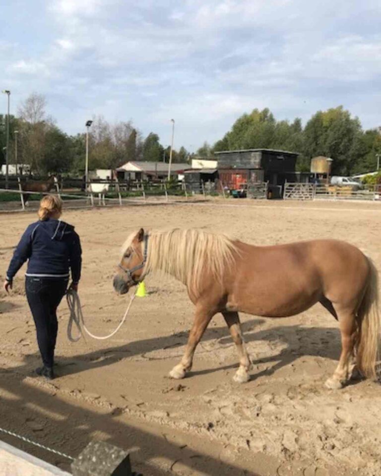 met hoofd en hart