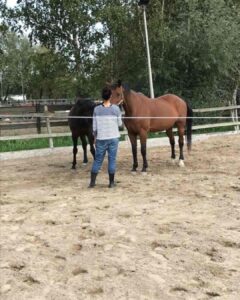 met hoofd en hart
