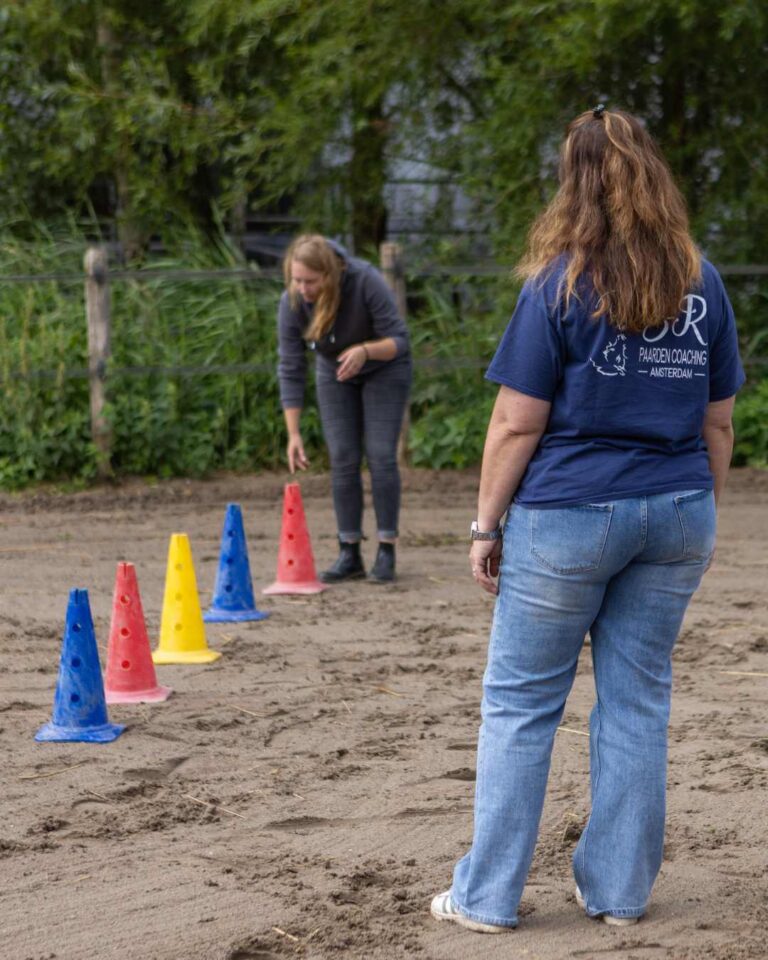 paardencoaching
