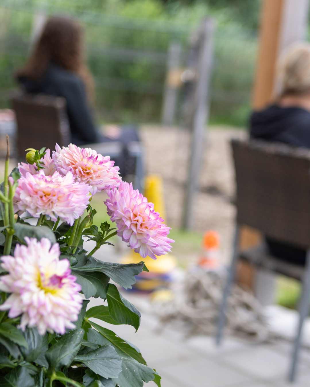 Reintegratie-sr-paardencoaching (4)