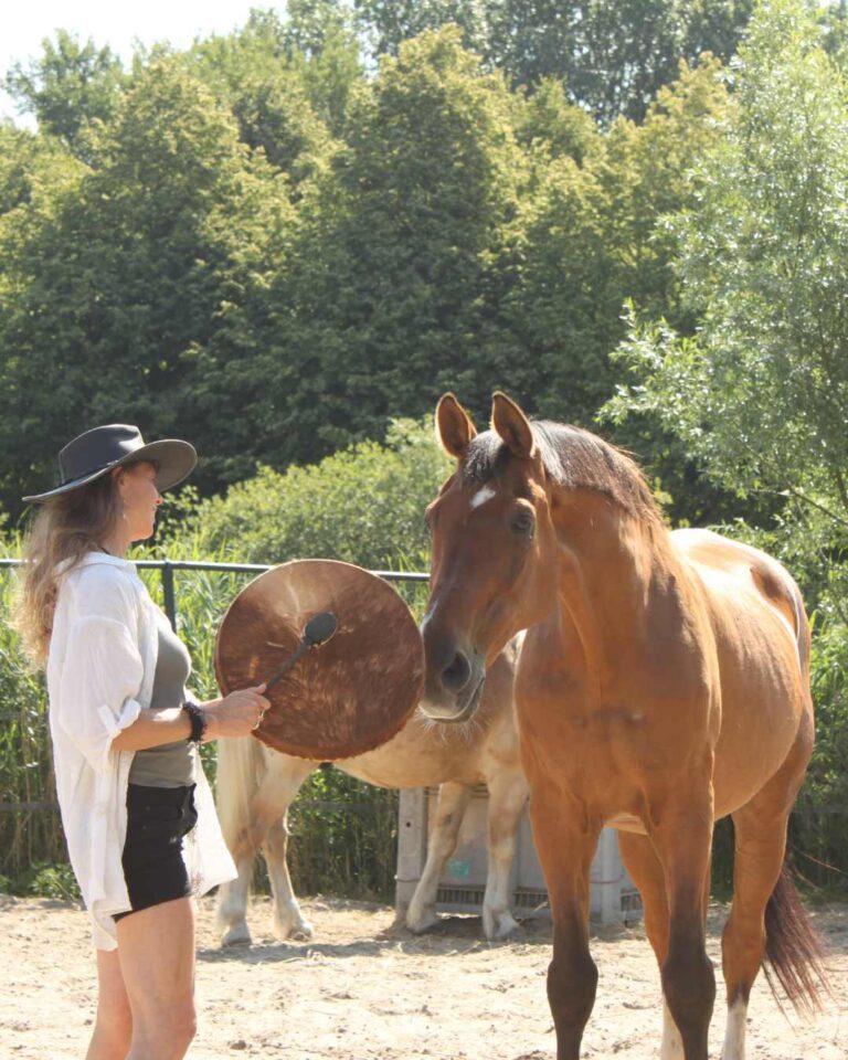 agenda-sr-paardencoaching (2)