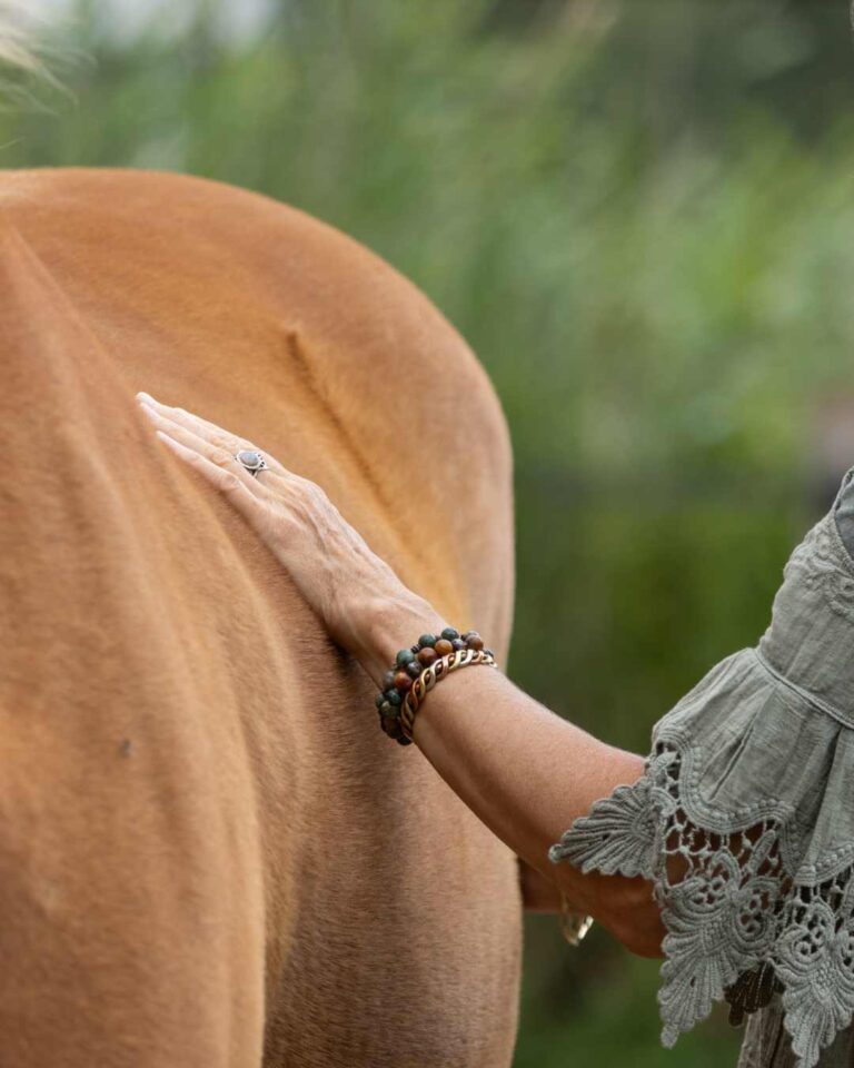 agenda-sr-paardencoaching (3)