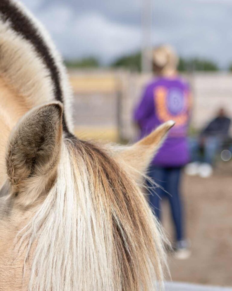cirkel-van-inzicht (2)