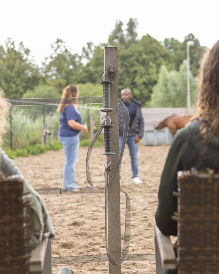 cirkel-van-inzicht (3)