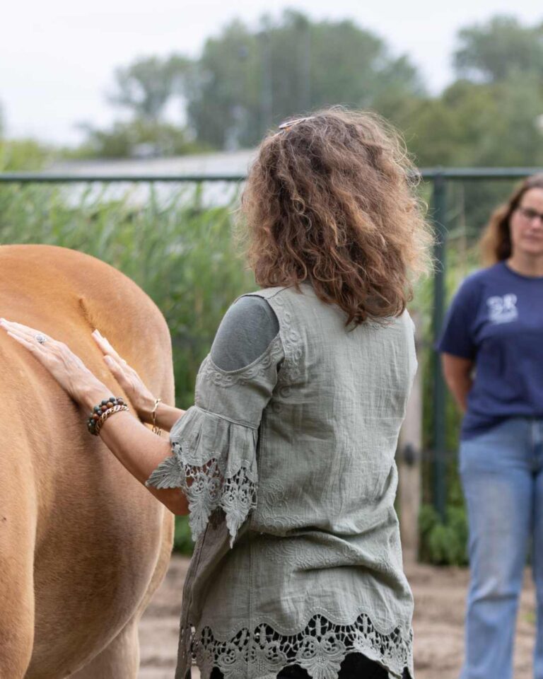 cirkel-van-inzicht (4)