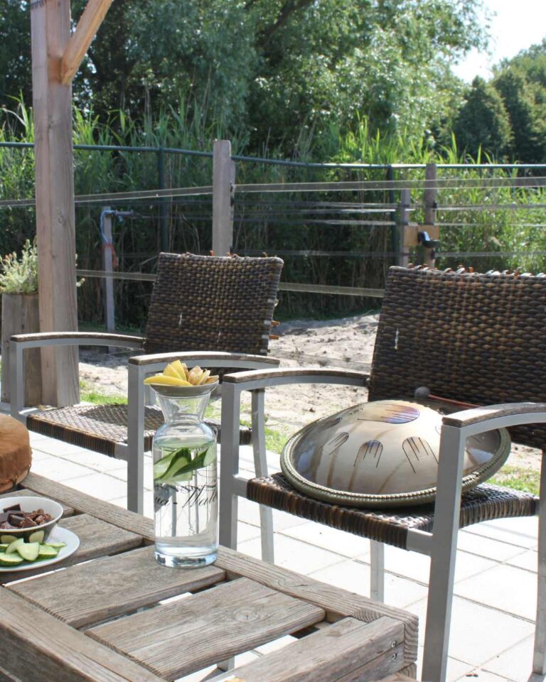 meditatie tussen paarden