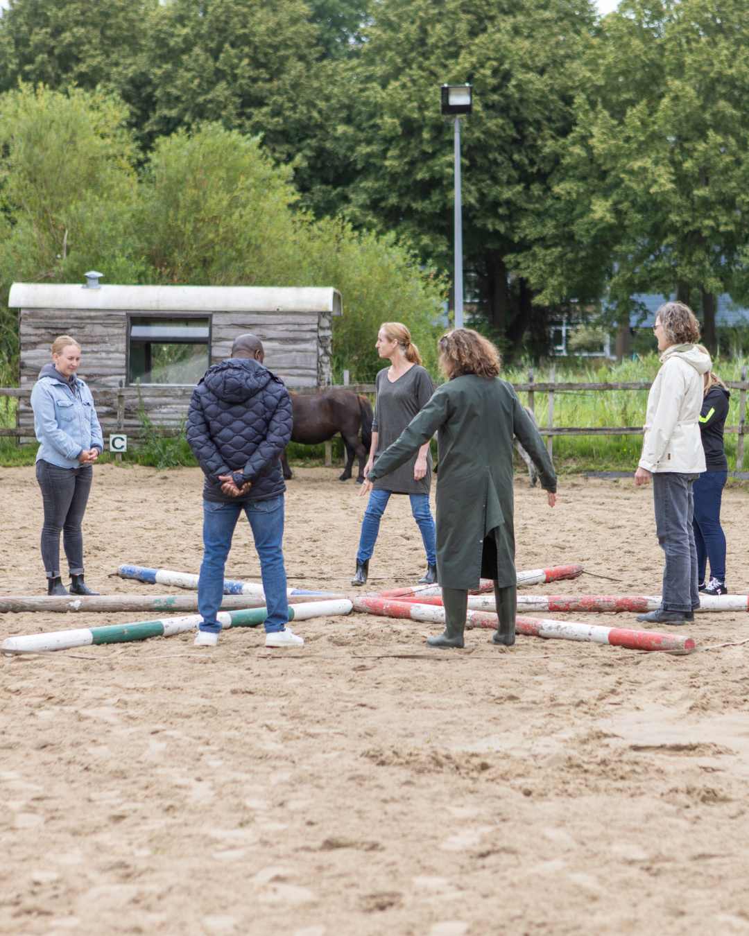 teamtraining-sr-paardencoaching (6)